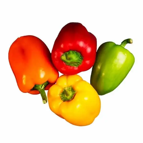 Pimiento Morrón - Exported Globally by Tranding Global Produce Rofim