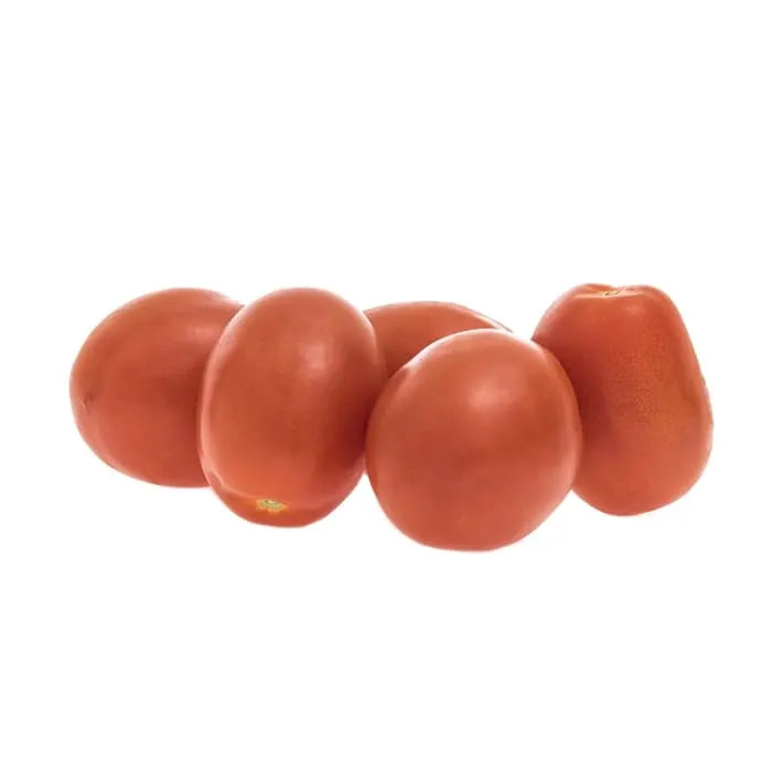 Tomate Bugalu - Exported Globally by Tranding Global Produce Rofim