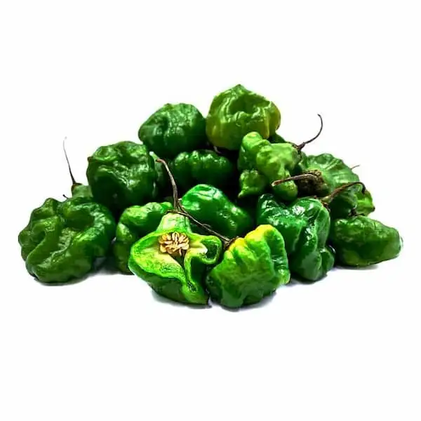 Chile Cachucha - Exported Globally by Tranding Global Produce Rofim