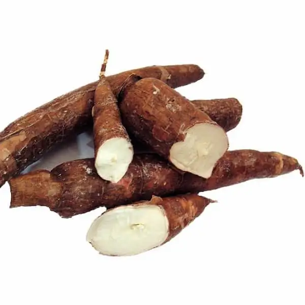Yuca - Exported Globally by Tranding Global Produce Rofim