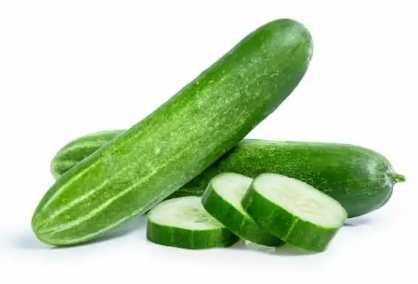 Pepino - Exported Globally by Tranding Global Produce Rofim
