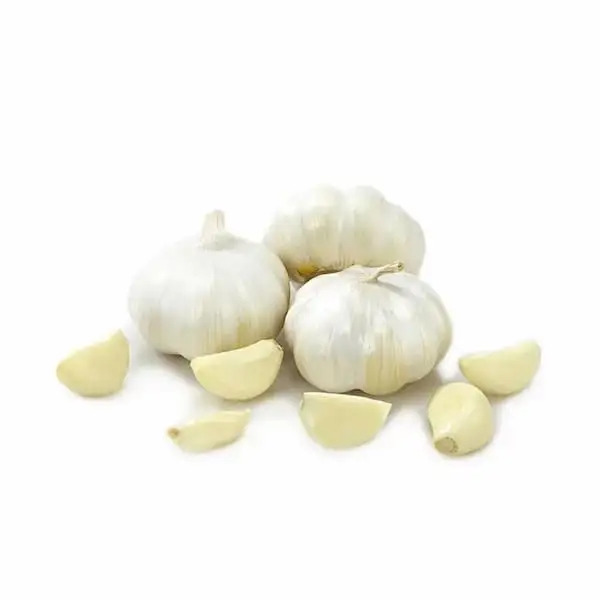 Ajo - Exported Globally by Tranding Global Produce Rofim