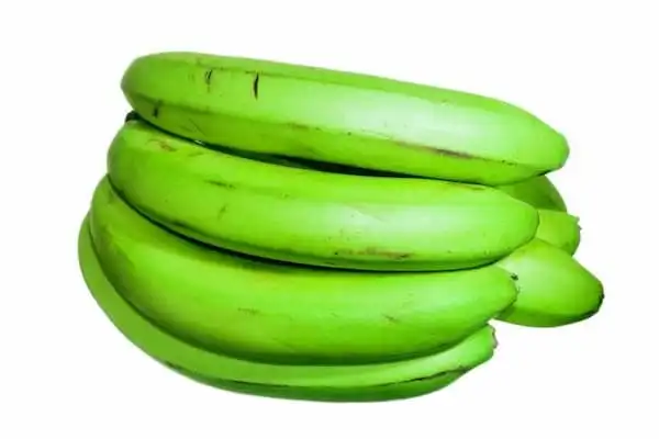 Banana Verde - Exported Globally by Tranding Global Produce Rofim