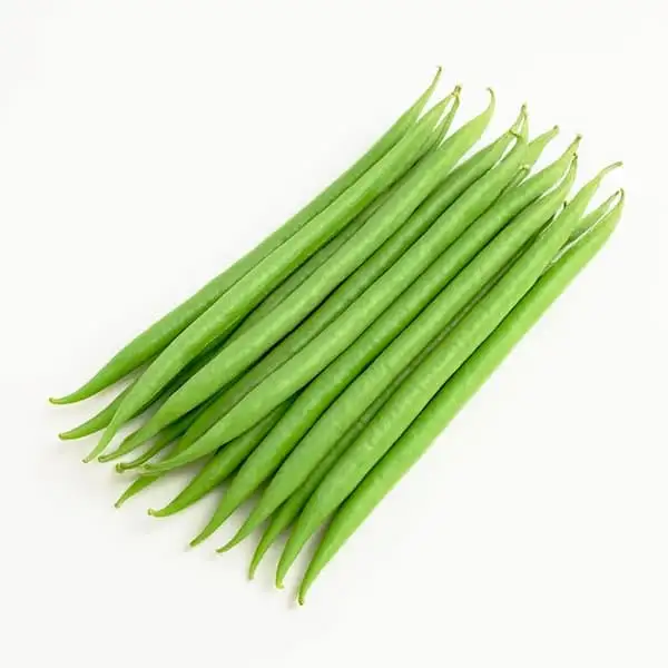 Guard Bean - Exported Globally by Tranding Global Produce Rofim