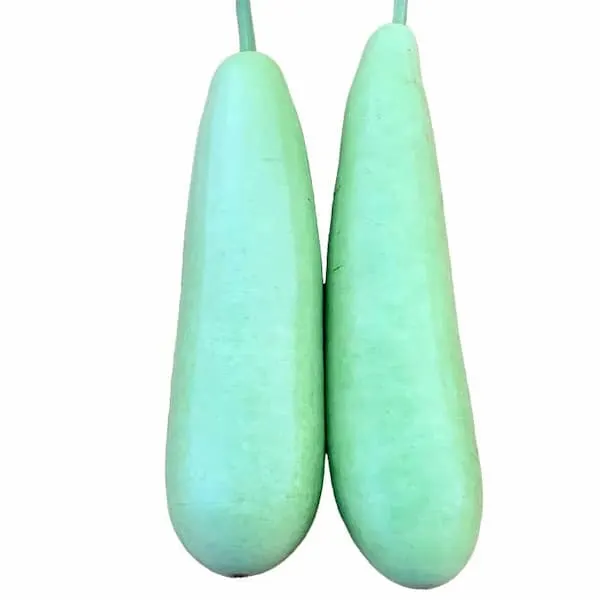 Indian Long Squash - Exported Globally by Tranding Global Produce Rofim