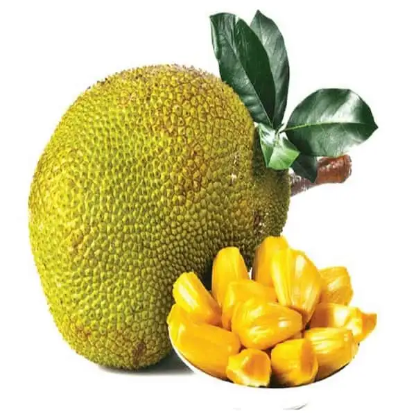 Jackfruit - Exported Globally by Tranding Global Produce Rofim