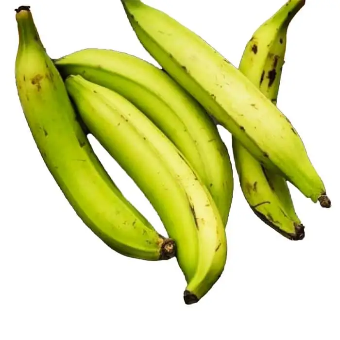Plátano - Exported Globally by Tranding Global Produce Rofim