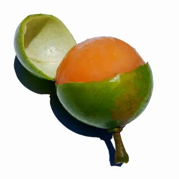 Limoncillo