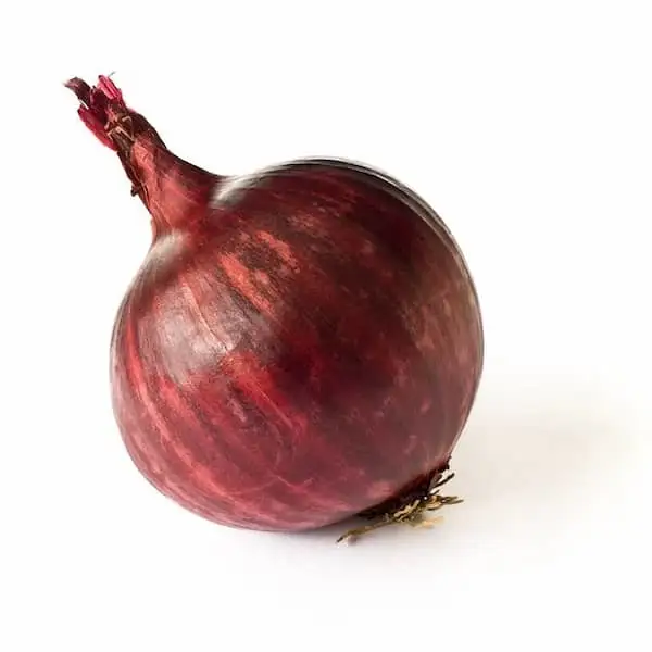 Cebolla Roja - Exported Globally by Tranding Global Produce Rofim