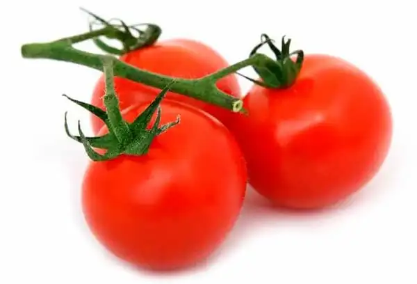 Tomate Redondo - Exported Globally by Tranding Global Produce Rofim