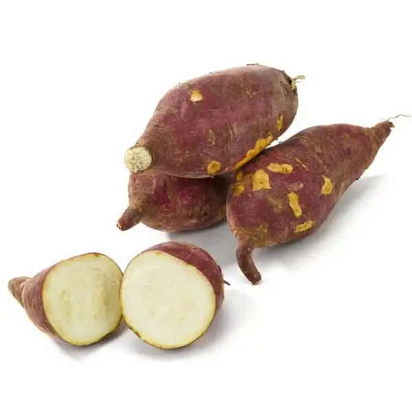 Batata - Exported Globally by Tranding Global Produce Rofim