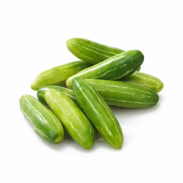 Tindora - Exported Globally by Tranding Global Produce Rofim