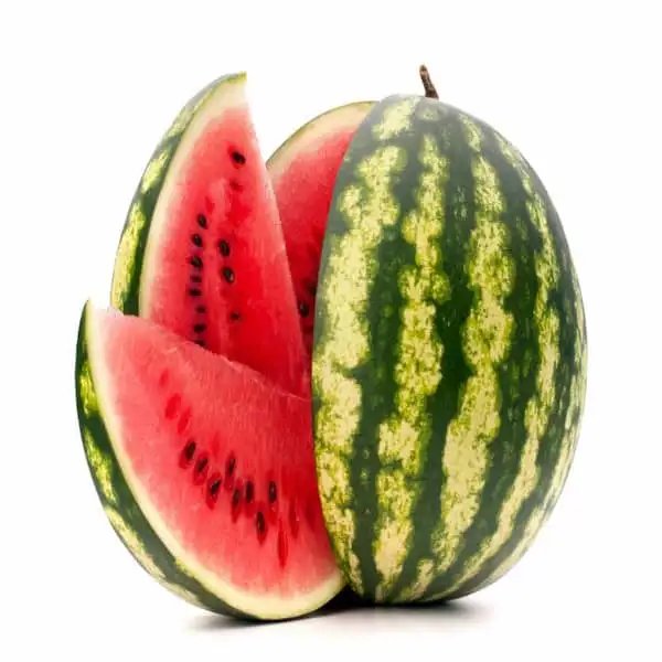 Sandía - Exported Globally by Tranding Global Produce Rofim