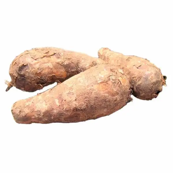 Malanga Blanca - Exported Globally by Tranding Global Produce Rofim