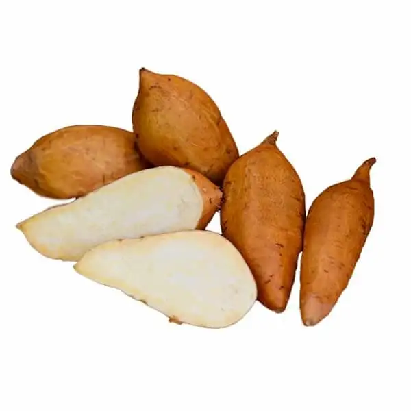 Ñame Blanco - Exported Globally by Tranding Global Produce Rofim