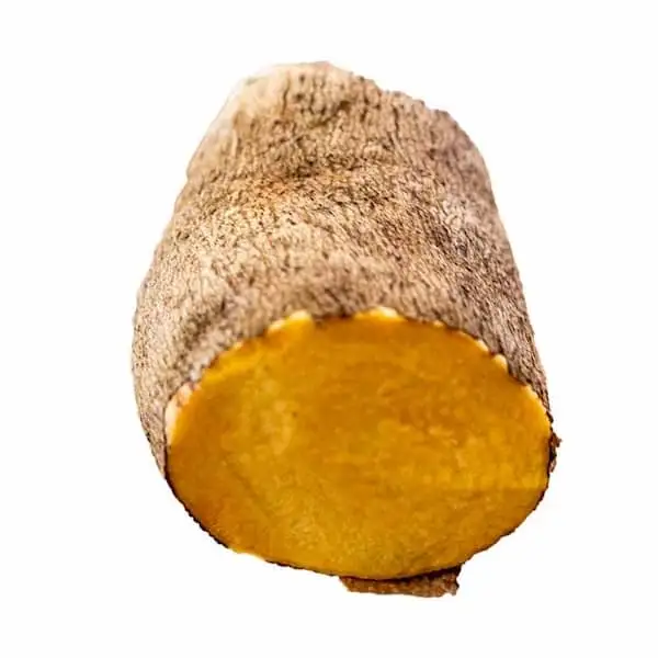 Malanga Amarilla - Exported Globally by Tranding Global Produce Rofim